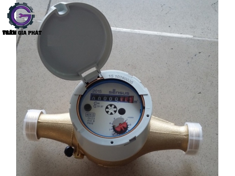 Đồng hồ đo lưu lượng nước nối ren Sensus