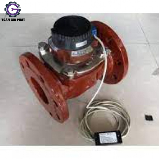 Đồng hồ xung điện Sensus